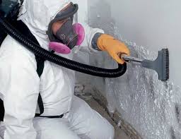 Best Environmental Consulting for Mold Prevention  in Fleetwood, PA